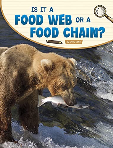 Is it a food web or a food chain